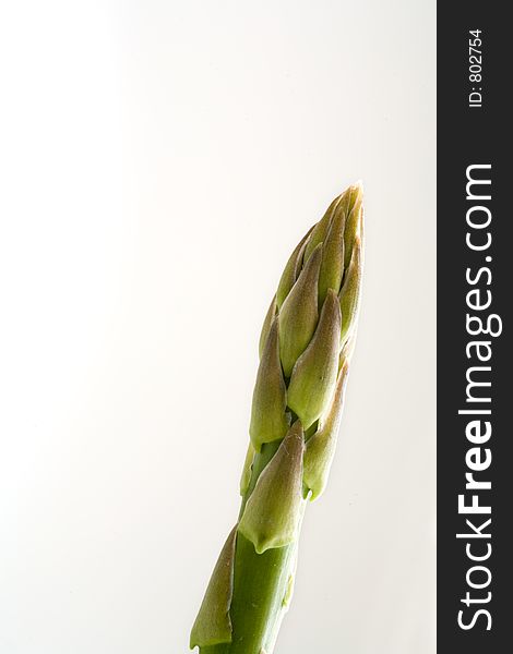 Single asparagus isolated