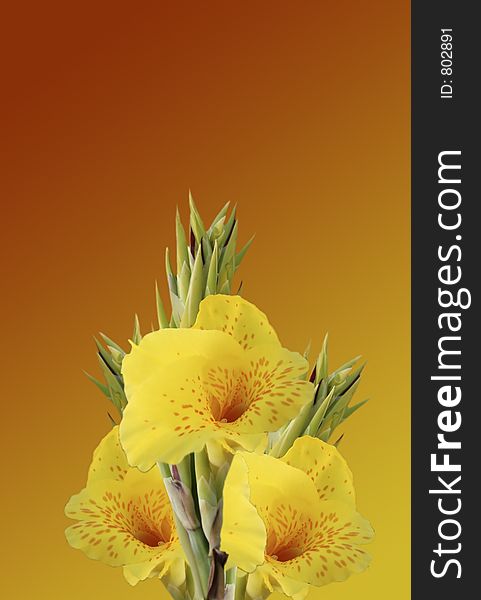 Yellow and Orange Horn Flowers (Insert Infant for Fantasy Photos)