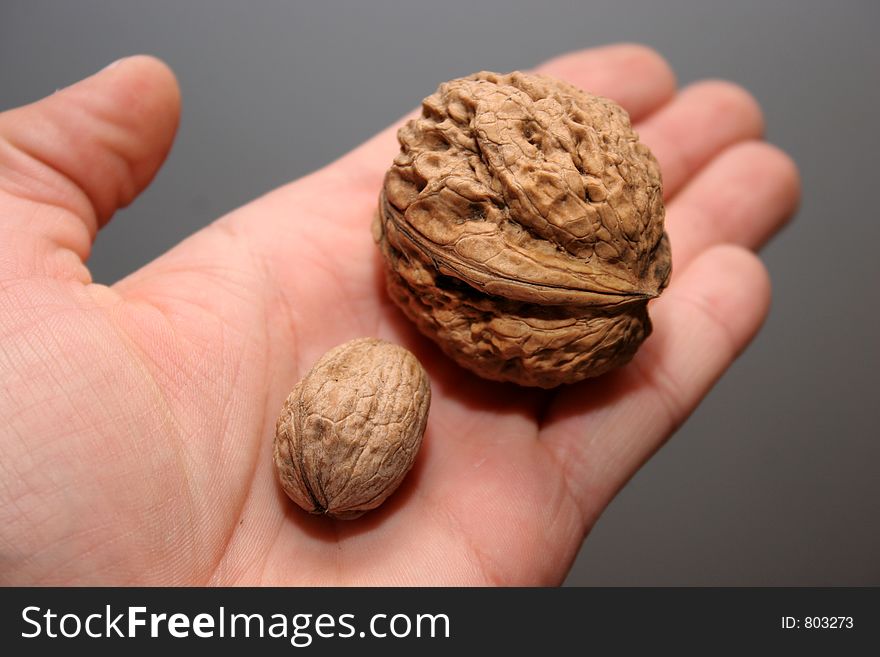 A little and big walnuts