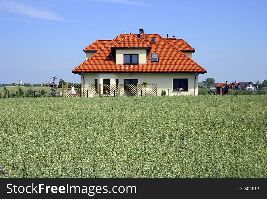 House on village in Poland. Green cereal. House on village in Poland. Green cereal.