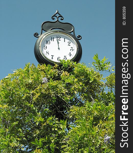 Town clock shows the time, almost noon, above the leaves of a tree. Town clock shows the time, almost noon, above the leaves of a tree.