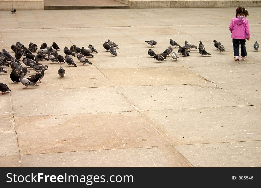 Young girl chasing pigeons