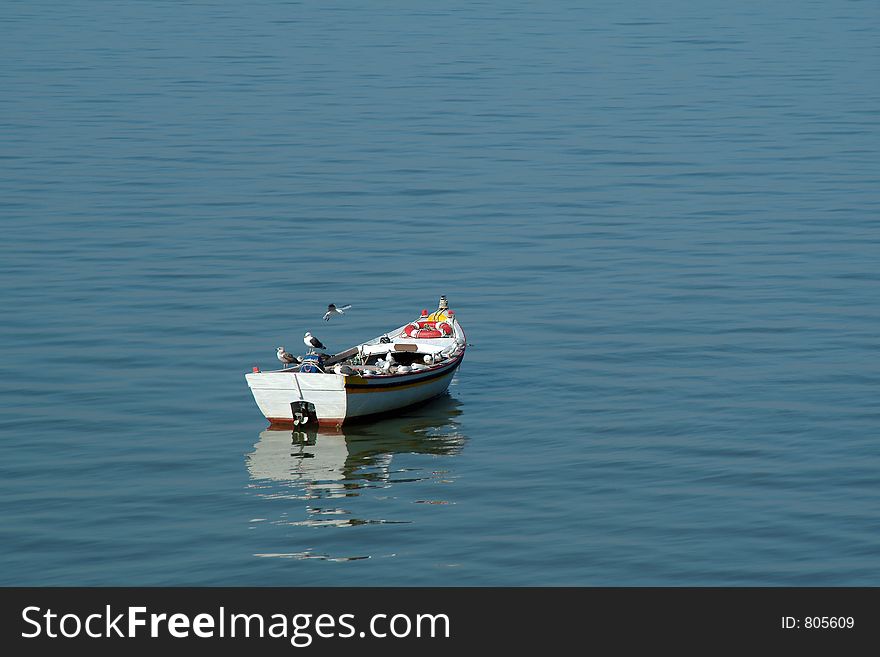 Boat With Seagulls