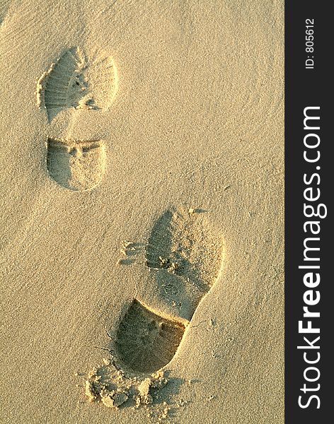 Footprints in beach golden sand