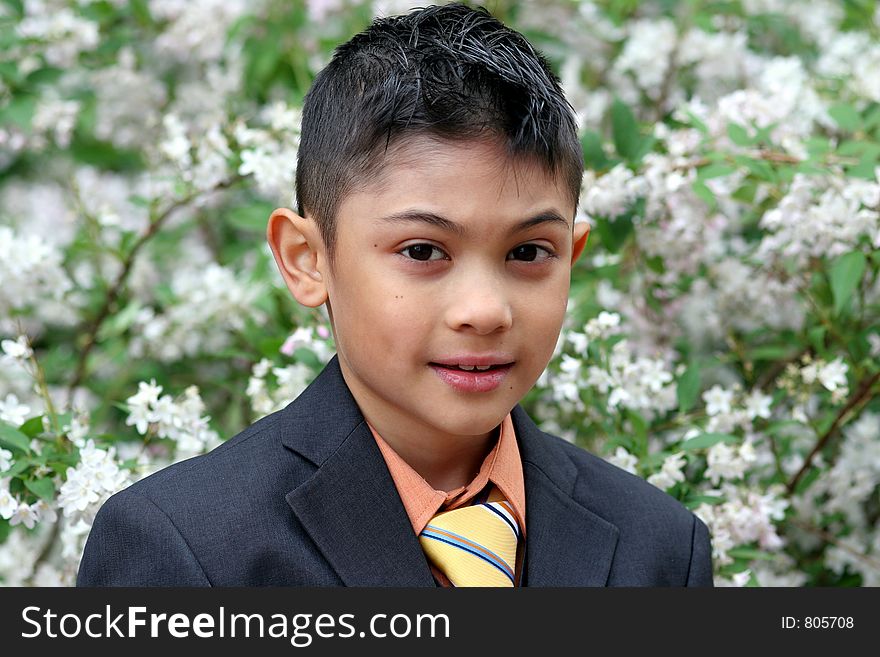 Portrait of a young boy on a spring day