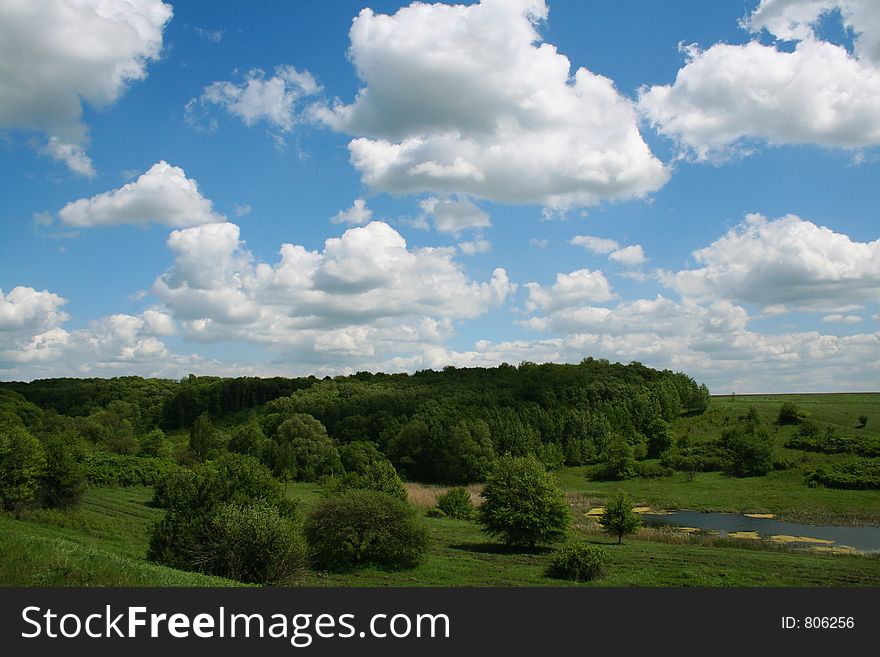 Spring Landscape