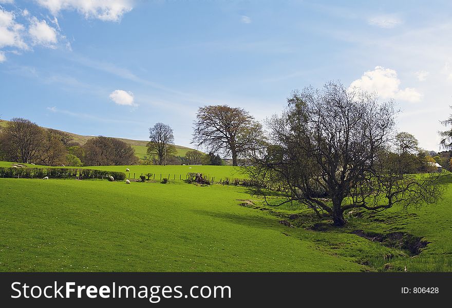 Colourful Landscape