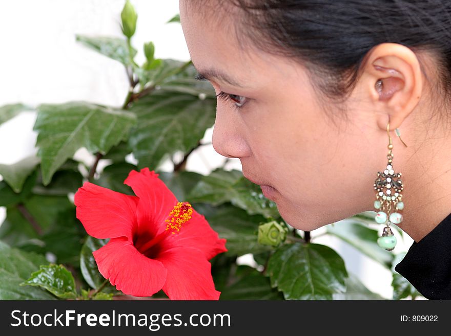 A young asian girl smells the red flower. A young asian girl smells the red flower