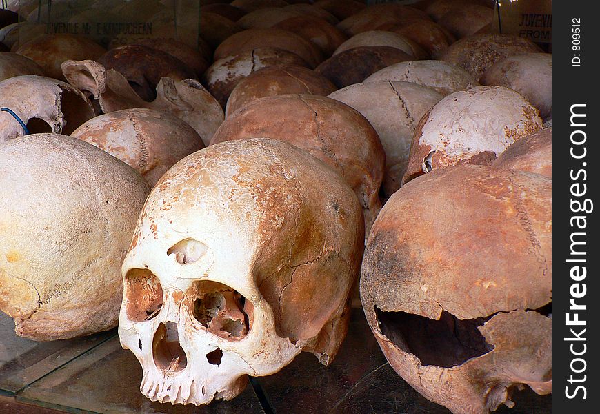 Skulls At Killing Fields