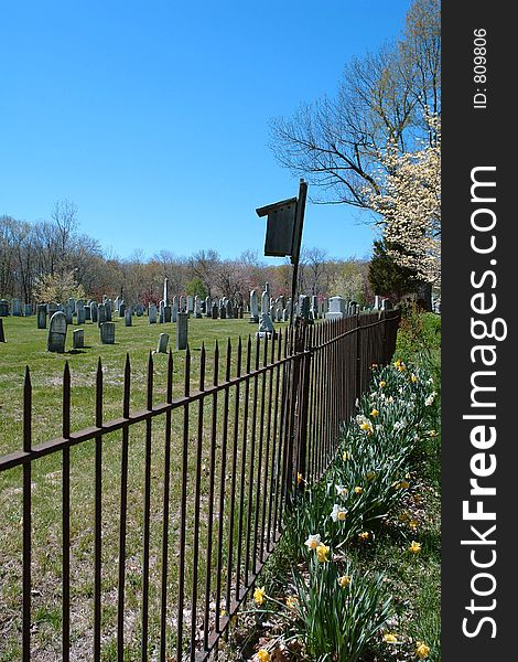Cemetary on the other side of the fence with spring bloom on this side and gravestones on the other side - notice the bat house in between.