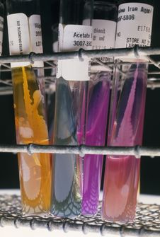 Real Lab Test Tubes Royalty Free Stock Photo Real Lab Test Tubes Royalty Free Stock Photo
