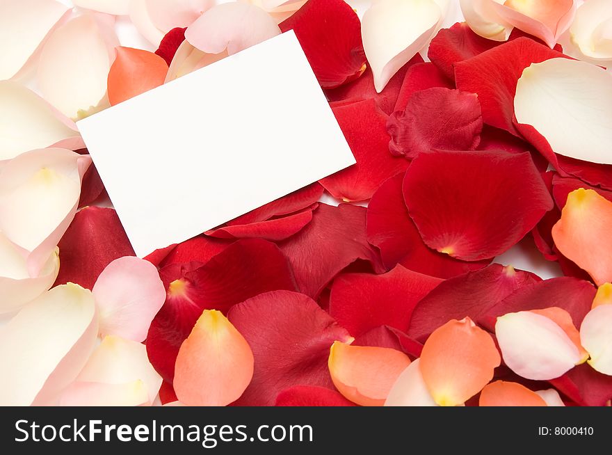 Rose petals with a blank note