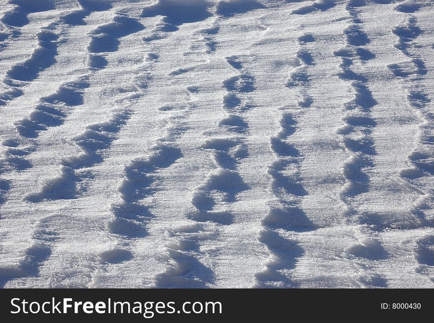 Snow Texture in a grass field