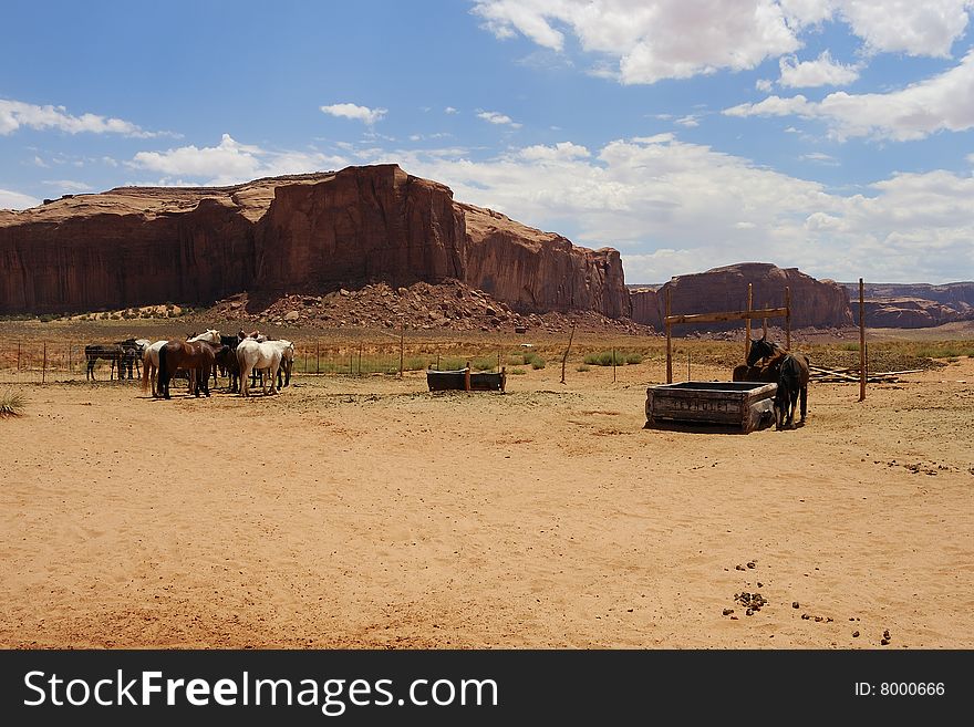 Horses resting in an enclosure near Monument Valley. Horses resting in an enclosure near Monument Valley
