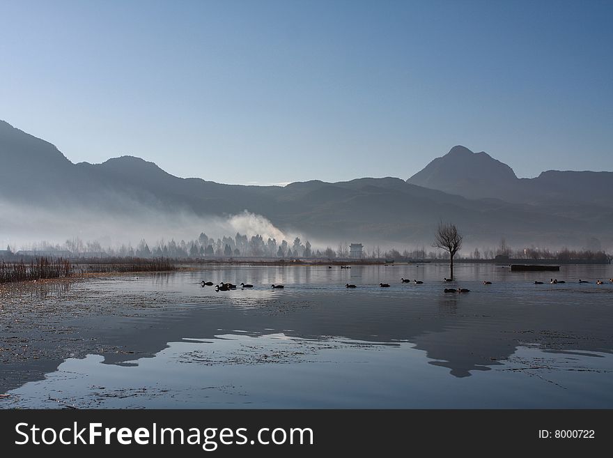 The picture was taken on Lashi Lake, Yunnan China. The picture was taken on Lashi Lake, Yunnan China.