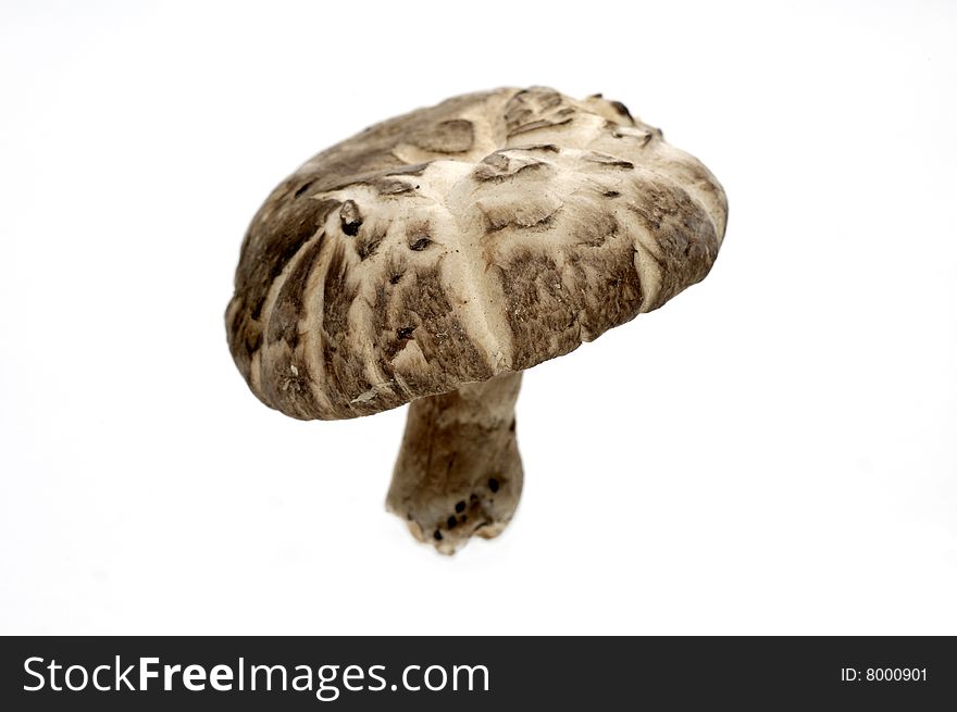 Imperial mushroom - the pride of Eastern food and medicine