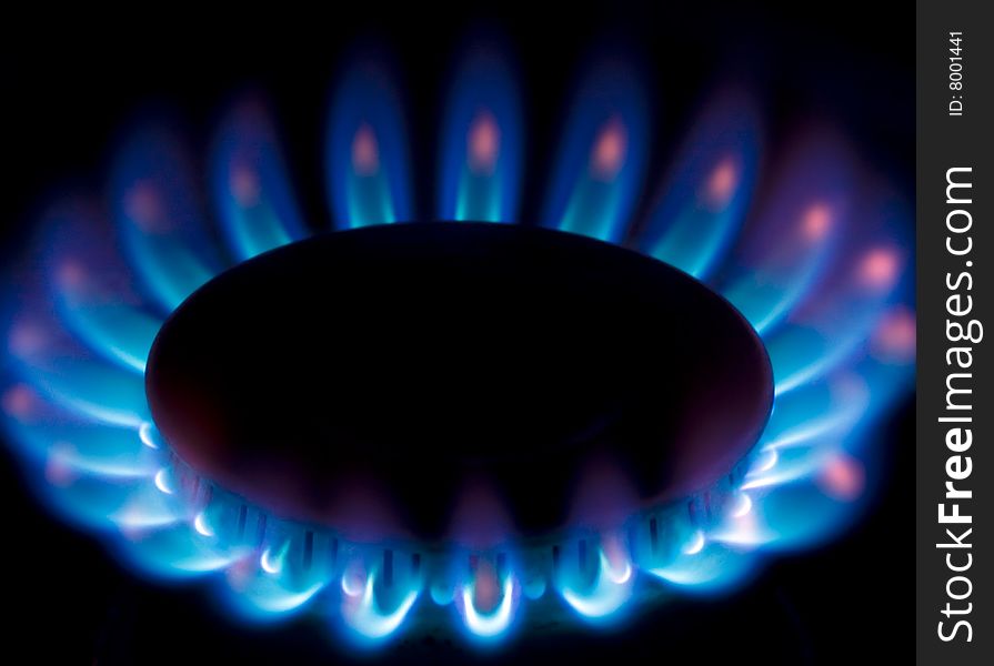 Close up on the blue flames of a burner.