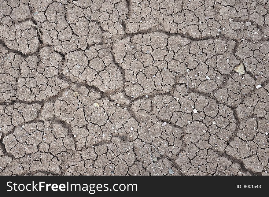 Cracked ground from drying up silty soil