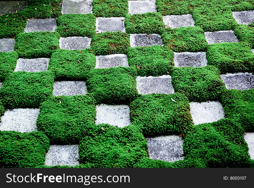 Japanese zen grass with rock array garden. Japanese zen grass with rock array garden