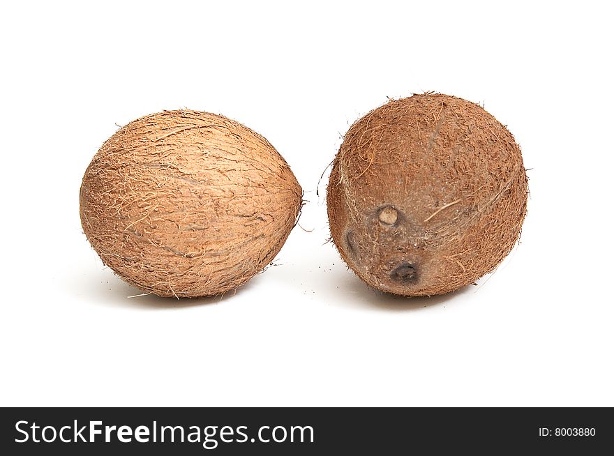 Two Coconuts On A White Backfround.