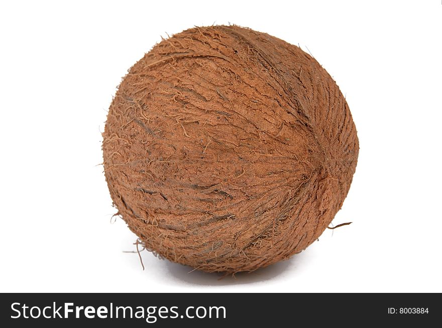 One coconut on a white background.