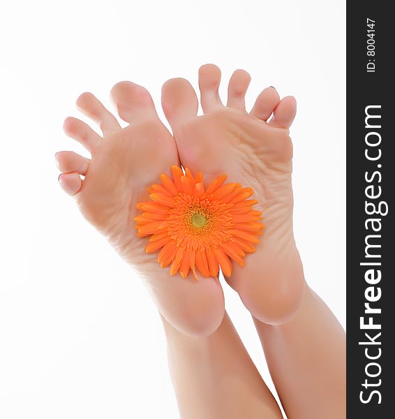 Female a foot keep an orange flower. Female a foot keep an orange flower