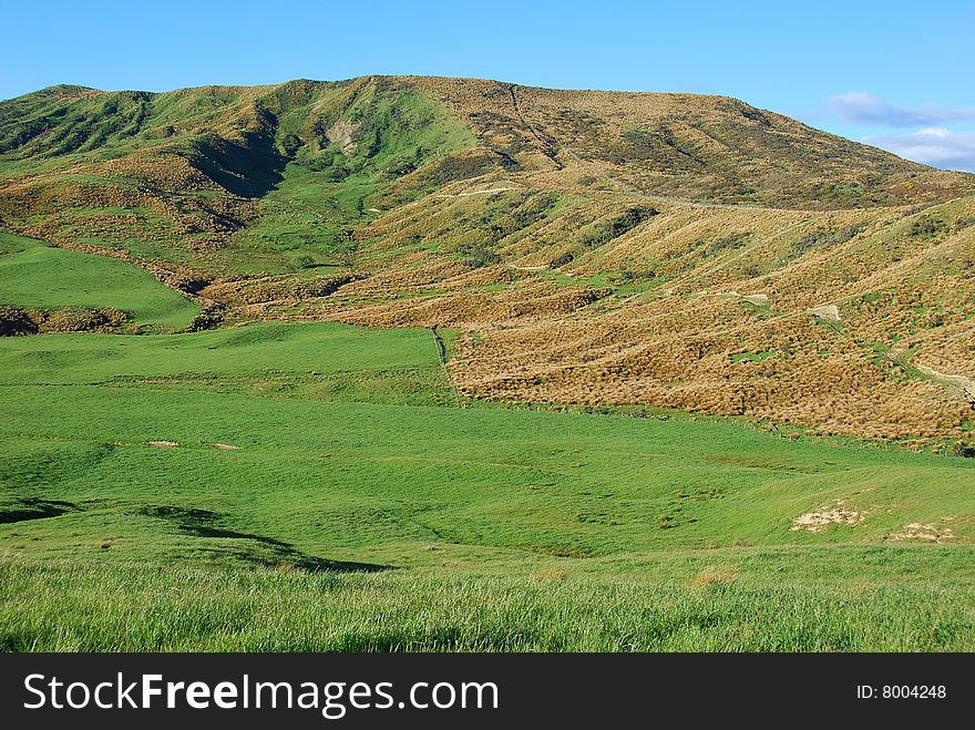 Grassland and Hill in New Zealand