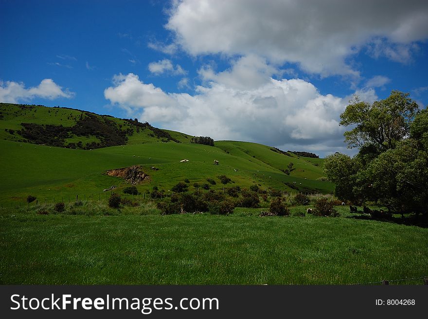 The beautiful ranch in New Zealand. The beautiful ranch in New Zealand
