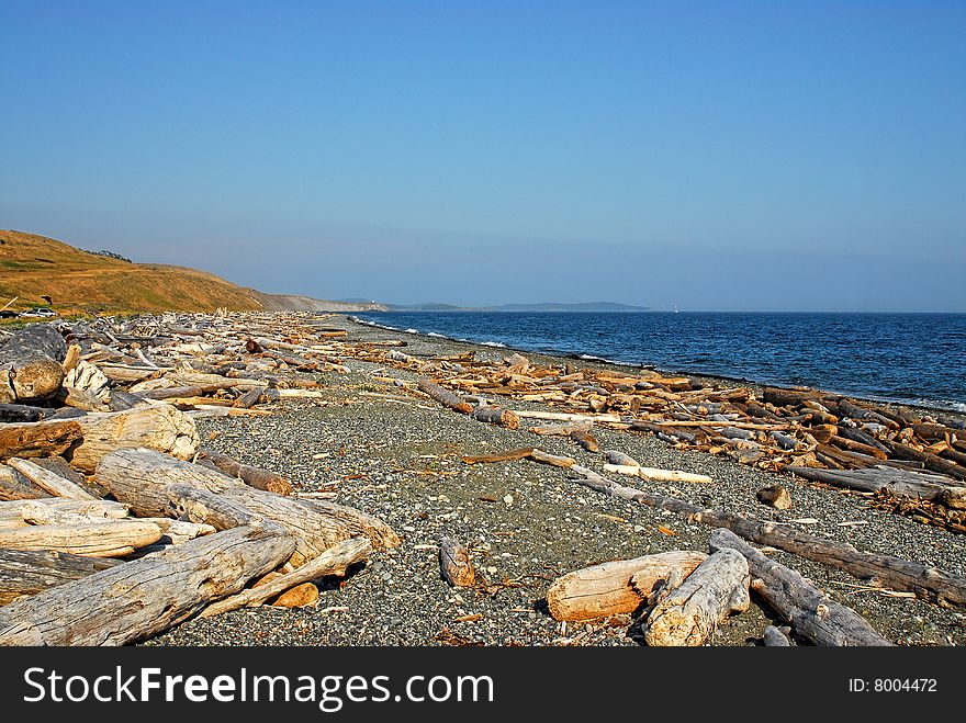 Driftwood littered beach on the coast of Washington