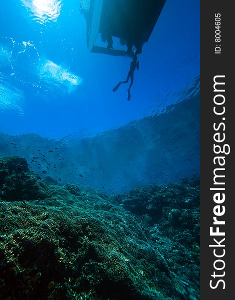 Free divers hanging off small Indonesian boat