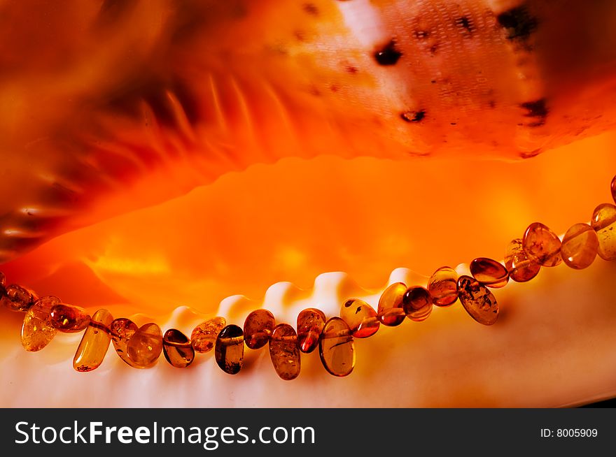 Costume jewellery. A beads, a necklace from amber against a belly of a sea bowl. Costume jewellery. A beads, a necklace from amber against a belly of a sea bowl.