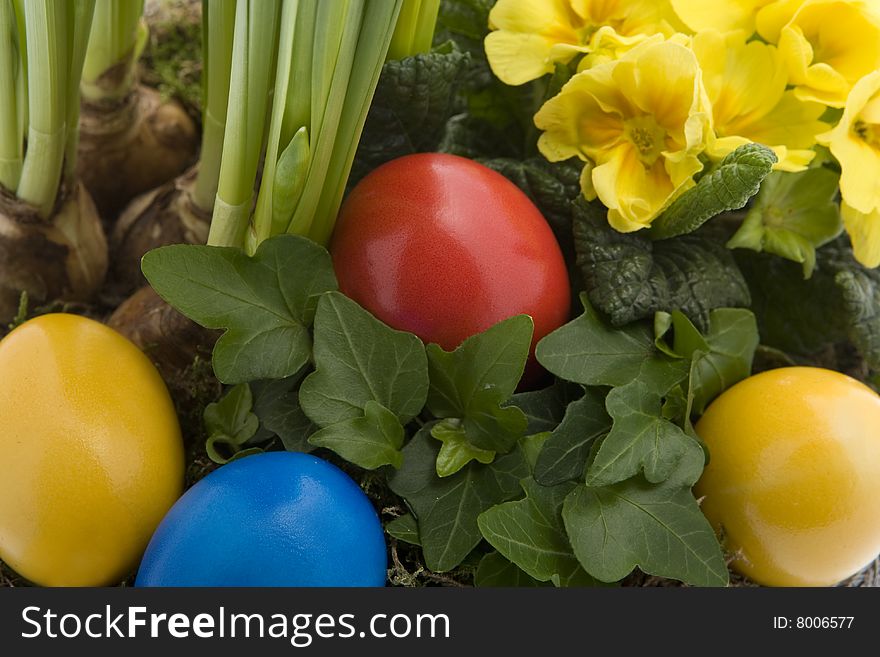 Easter eggs with spring flowers, tradition at the Easter time