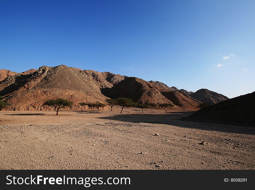 Dry wadi in the Egyptian desert. Dry wadi in the Egyptian desert