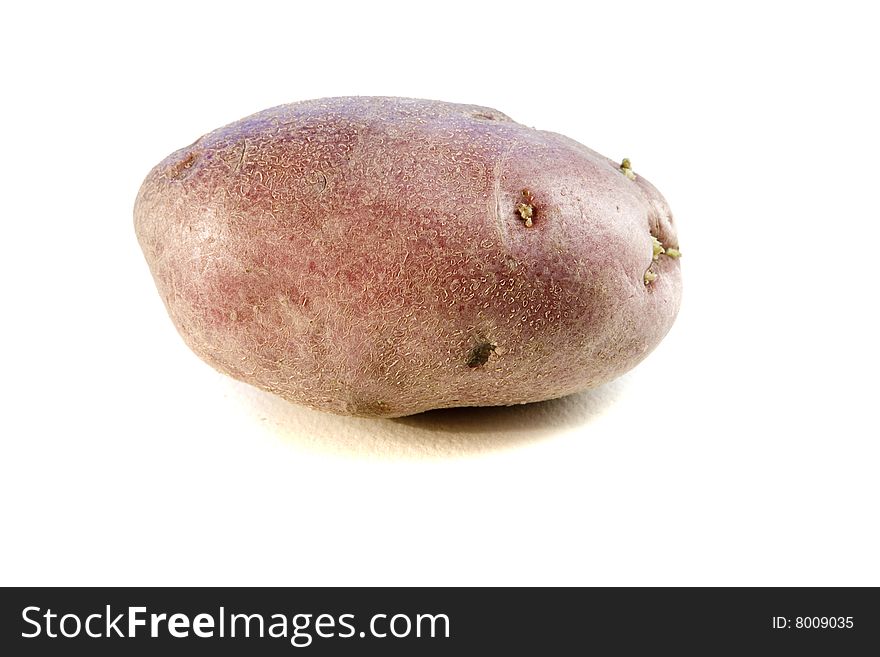 One potatoe on white ground