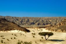 Dry Desert Stock Image Dry Desert Stock Image
