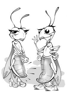 Two Grasshoppers Stock Image