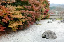 Zen Garden With Maple Royalty Free Stock Images Zen Garden With Maple Royalty Free Stock Images