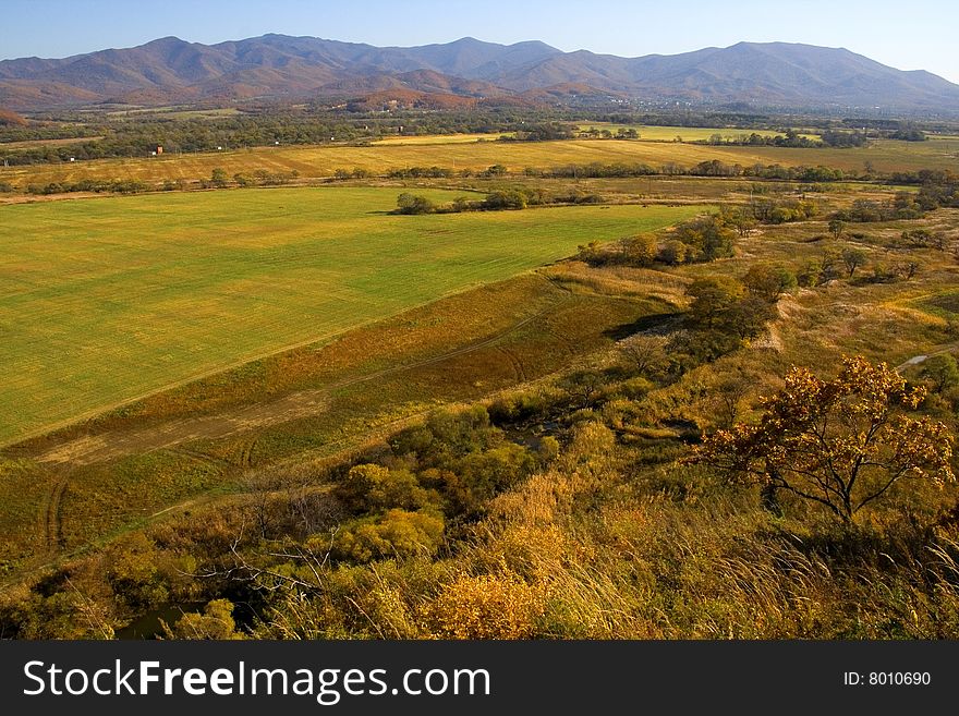 Autumn Gold Landscape