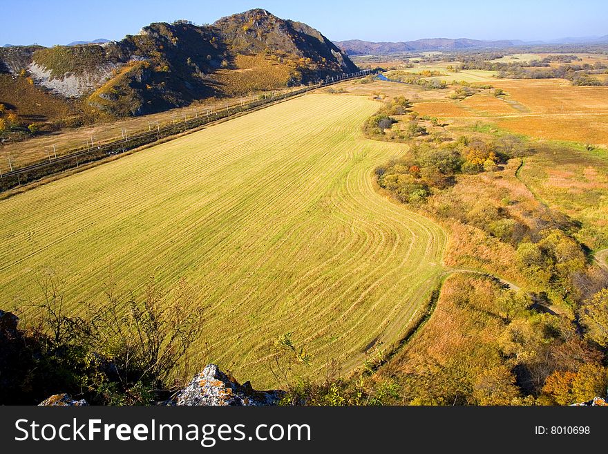 Autumn Gold Landscape