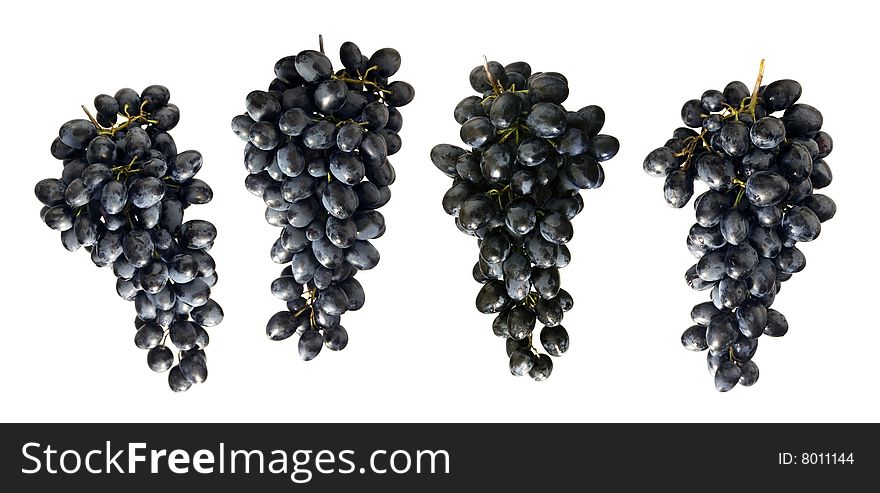 Collection clusters of blue grape isolated on white background