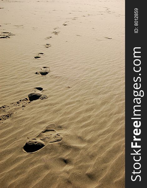 Footsteps imprinted into the sandy beach. Footsteps imprinted into the sandy beach.