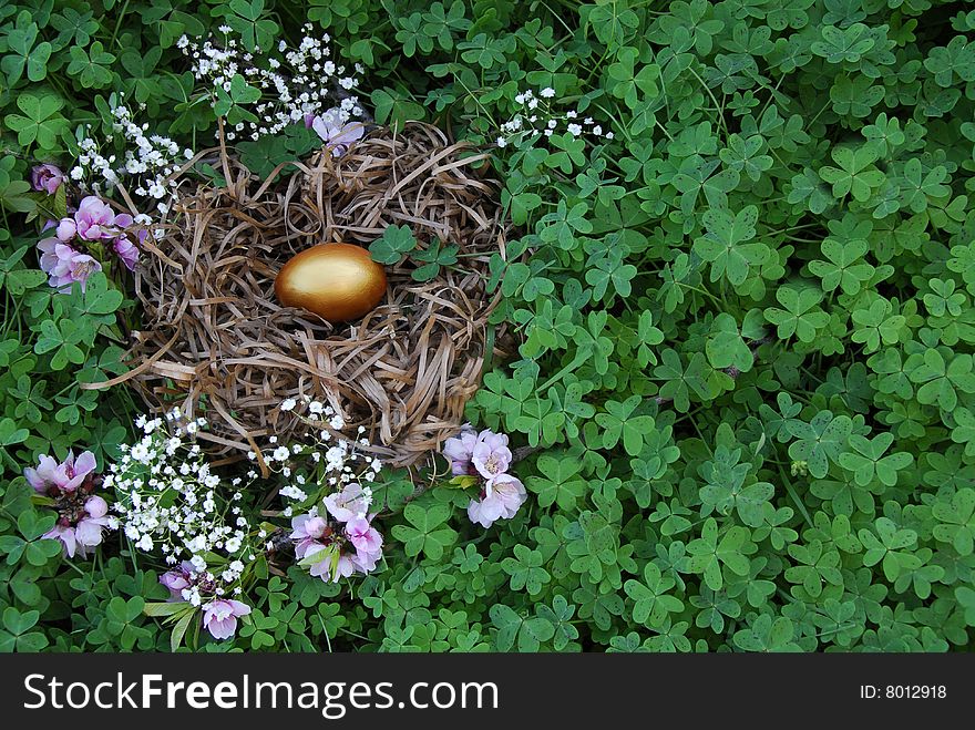 Gold eggs in nest surrounded by green clover. Gold eggs in nest surrounded by green clover