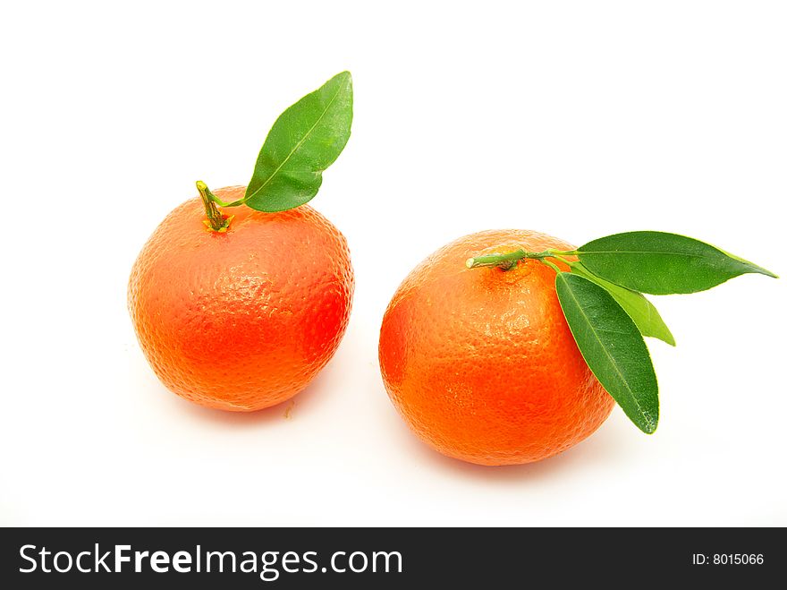 Tangerine isolated on a white background