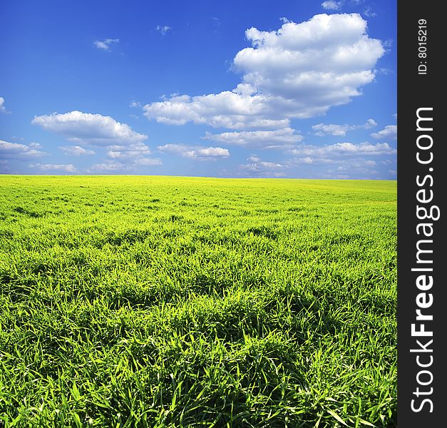 Field on a background of the blue sky