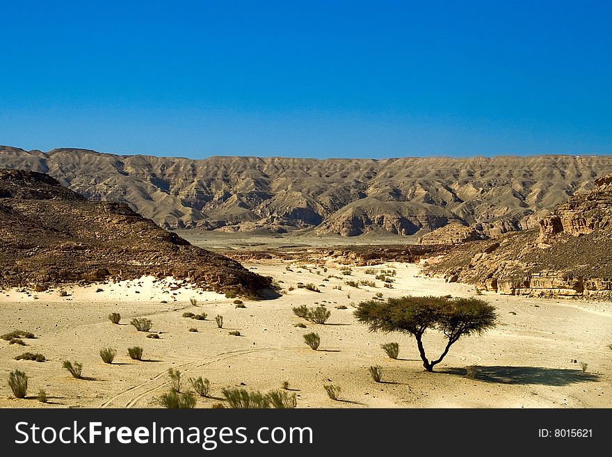 Dry desert in red sea region, sinai, egypt