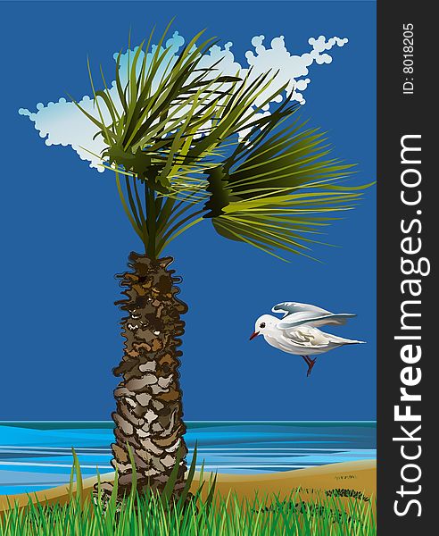 Seagull and Palm on the Sea-Vector Illustration