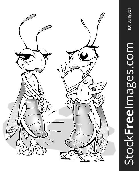 Two grasshoppers animal in nature