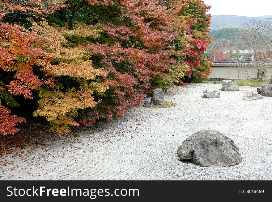 Zen Garden with maple