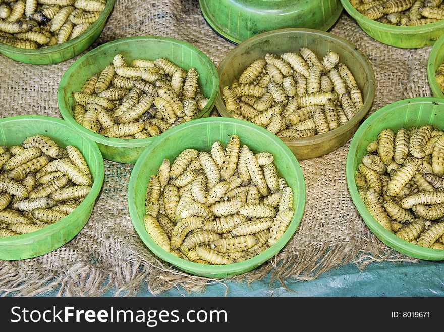 Sale of edible larvae, India