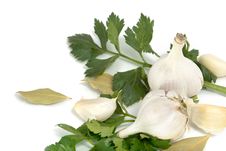 Garlic, Celery And Bay Leaf Royalty Free Stock Photo Garlic, Celery And Bay Leaf Royalty Free Stock Photo